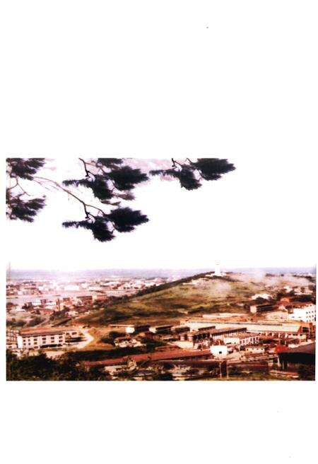 《湘澧盐矿大事记》.pdf电子版_湖南省志预览图3