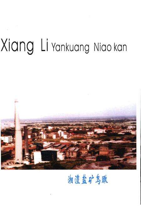 《湘澧盐矿大事记》.pdf电子版_湖南省志预览图4