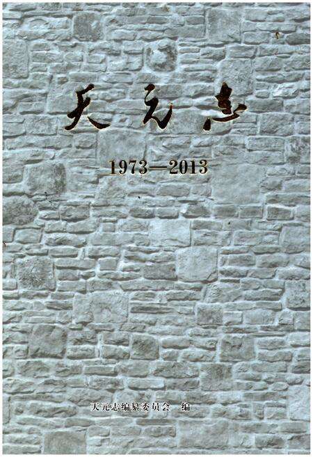 《天元志1973-2013》.pdf电子版_湖南省志缩略图