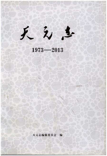 《天元志1973-2013》.pdf电子版_湖南省志预览图1