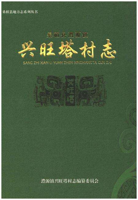 《桑植县澧源镇兴旺塔村志》.pdf电子版_湖南省志缩略图