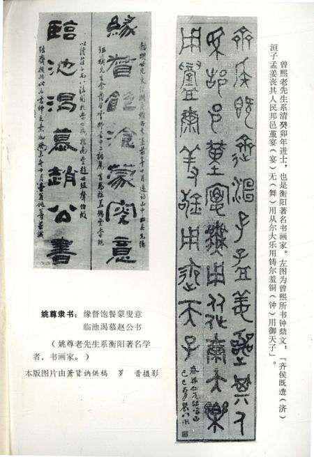 《衡阳文史资料 第五辑》.pdf电子版_湖南省志预览图3