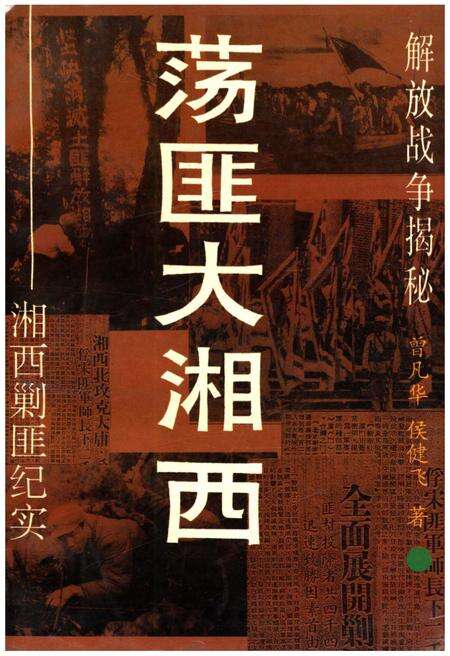 《荡匪大湘西》.pdf电子版_湖南省志缩略图