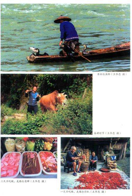 《湘西风土志》.pdf电子版_湖南省志预览图5