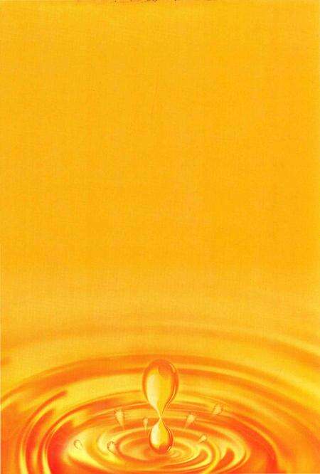 《永州市粮油志(1993-2010)》.pdf电子版_湖南省志预览图2