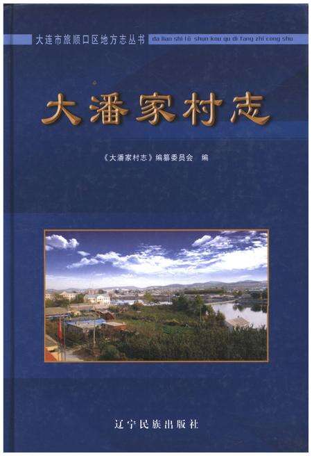 《大潘家村志》.pdf电子版_湖南省志缩略图