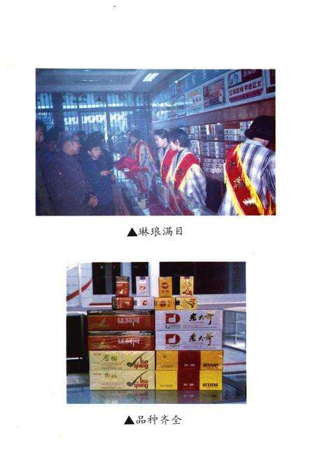 《湖南省泸溪县烟草志》.pdf电子版_湖南省志预览图5