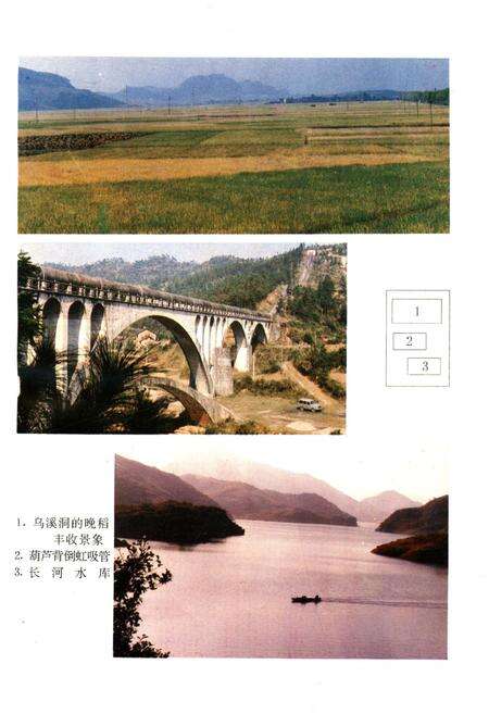 《临武县志 1989》.pdf电子版_湖南省志预览图5