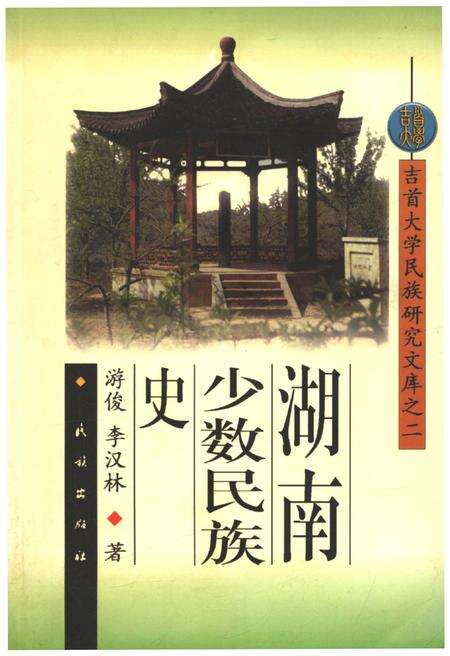 《湖南少数民族史》.pdf电子版_湖南省志缩略图