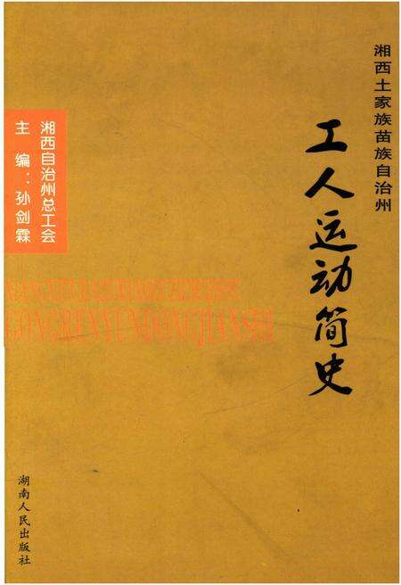 《湘西土家族苗族自治州工人运动简史》.pdf电子版_湖南省志缩略图