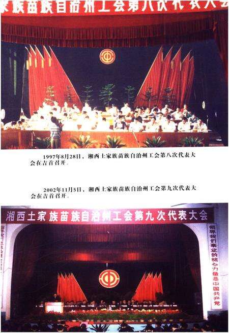 《湘西土家族苗族自治州工人运动简史》.pdf电子版_湖南省志预览图5