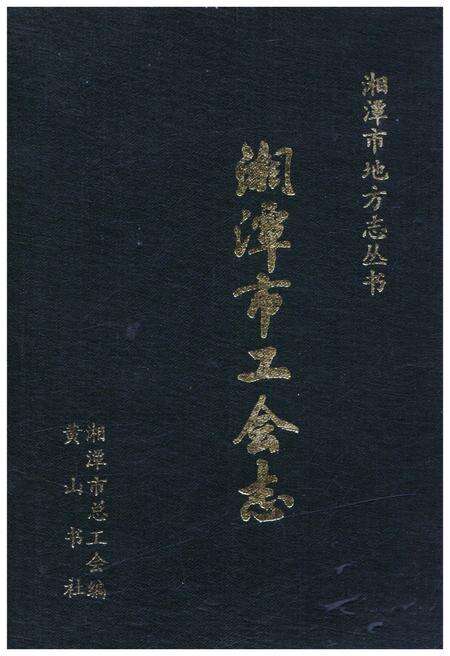 《湘潭市工会志》.pdf电子版_湖南省志缩略图