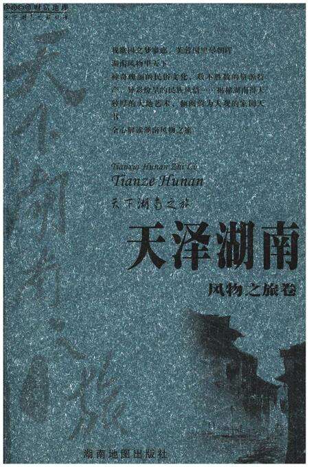 《天下湖南之旅 天泽湖南 风物之旅卷》.pdf电子版_湖南省志缩略图