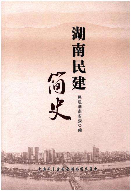 《湖南民建简史》.pdf电子版_湖南省志缩略图