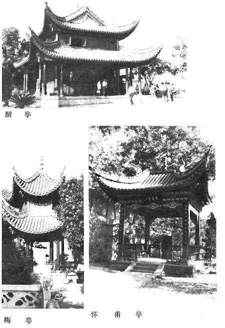 《岳阳楼史话》.pdf电子版_湖南省志预览图4