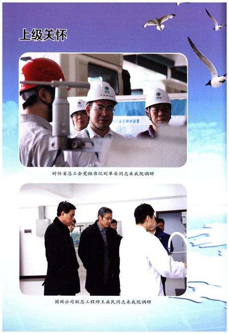 《国网湖南省电力公司电力科学研究院院志 续篇 2001-2015》.pdf电子版_湖南省志预览图4