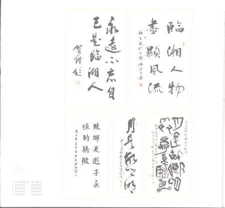 《天南地北临湘人》.pdf电子版_湖南省志预览图5