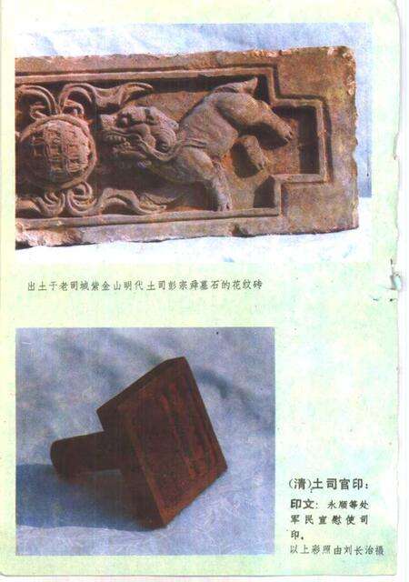 《土家族土司史录》.pdf电子版_湖南省志预览图2