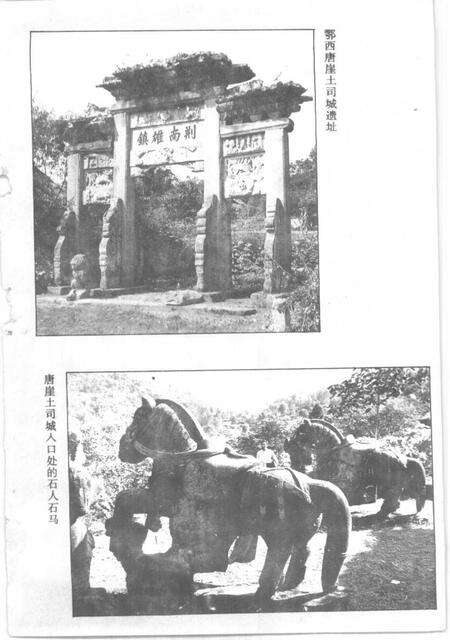 《土家族土司史录》.pdf电子版_湖南省志预览图3
