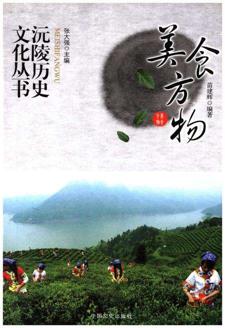 《沅陵历史文化丛书 美食方物》.pdf电子版_湖南省志缩略图