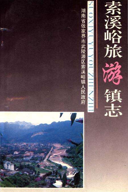 《是索蹊峪旅游镇志》.pdf电子版_湖南省志缩略图