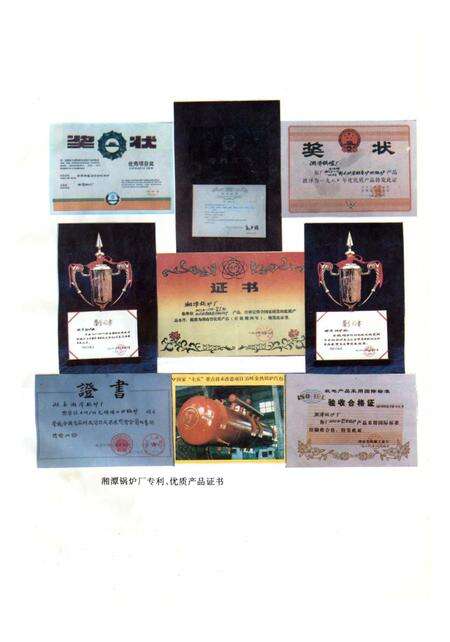 《湘潭锅炉厂厂志》.pdf电子版_湖南省志预览图5