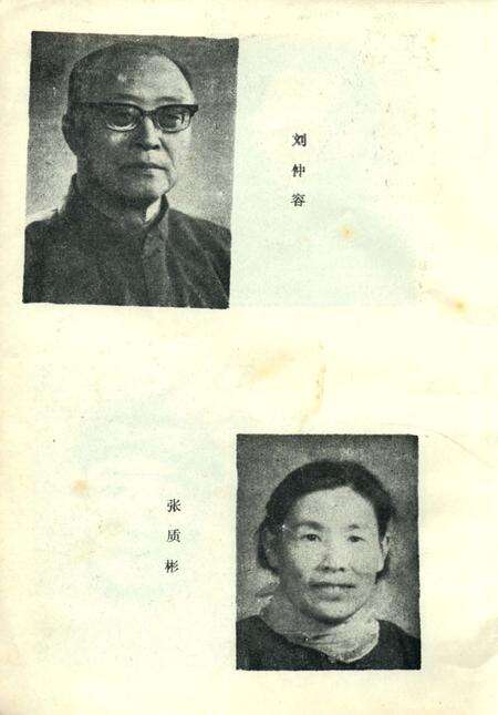 《桃江人物》.pdf电子版_湖南省志预览图5