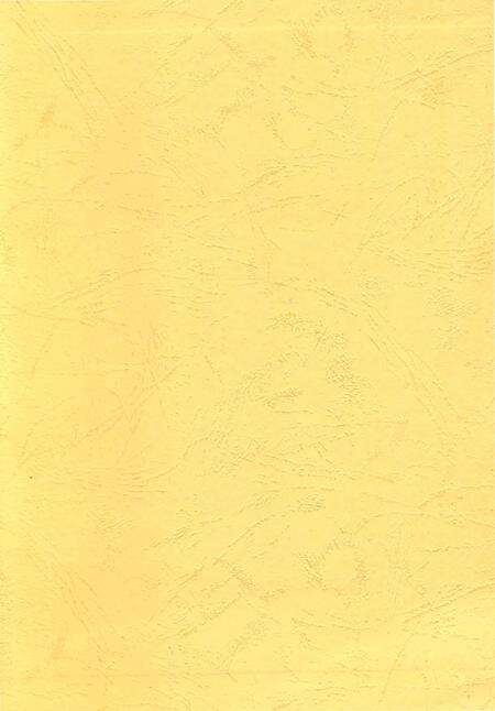 《洪江市发展和改革志（1949-2010）》.pdf电子版_湖南省志预览图1