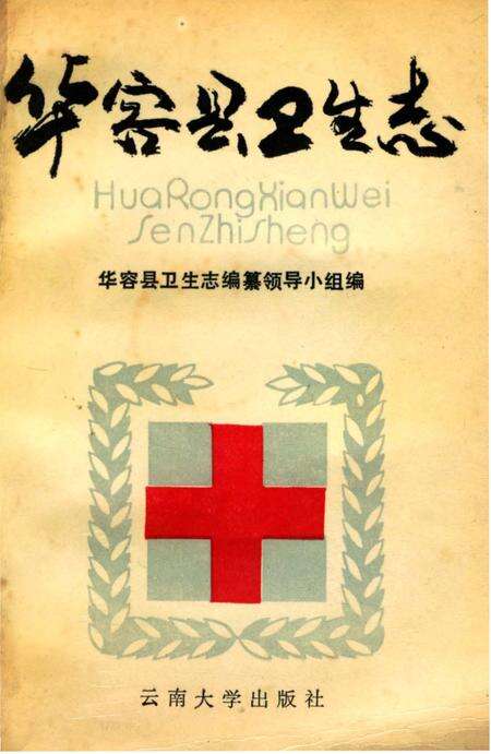 《华容县卫生志》.pdf电子版_湖南省志缩略图