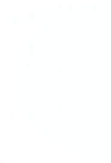 《五里桥村志》.pdf电子版_湖南省志预览图2