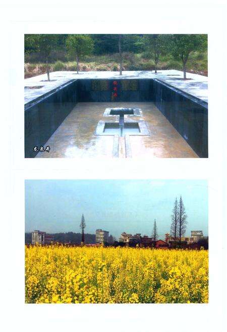 《五里桥村志》.pdf电子版_湖南省志预览图5