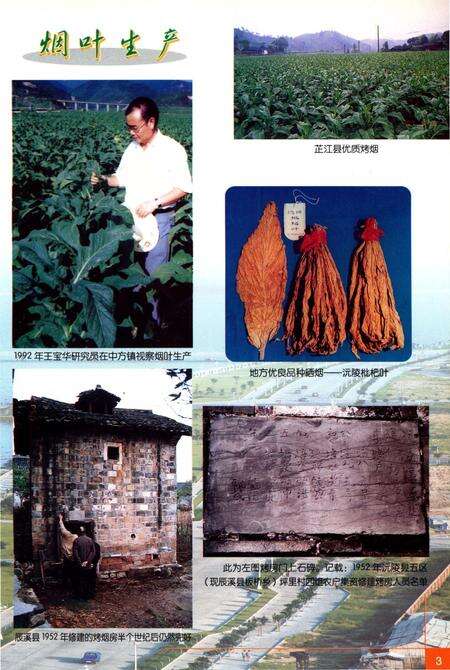 《怀化烟草志》.pdf电子版_湖南省志预览图4