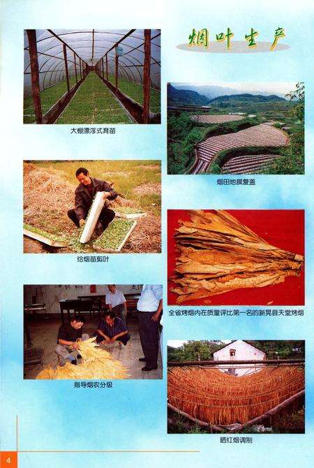 《怀化烟草志》.pdf电子版_湖南省志预览图5