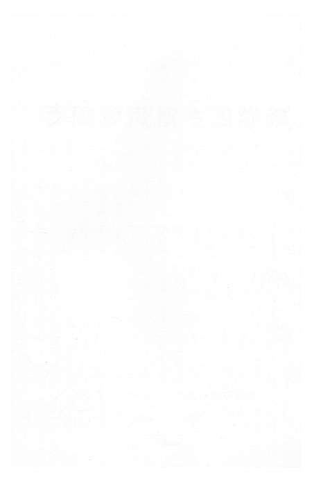 《雨湖区乡镇街道简志》.pdf电子版_湖南省志预览图3