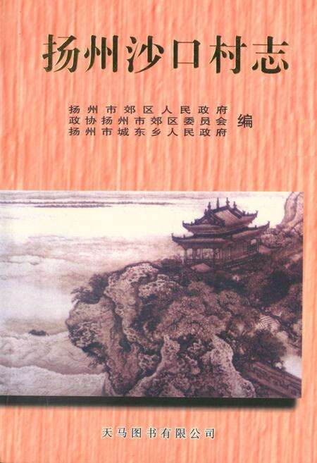 《《扬州沙口村志》》.pdf电子版_江苏省志缩略图