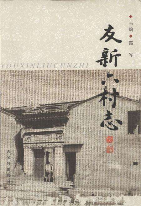 《友新六村志》.pdf电子版_江苏省志缩略图