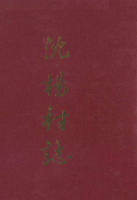 《《沈阳村志》》.pdf电子版_江苏省志缩略图