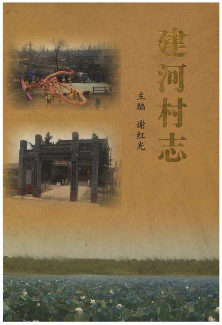《建河村志》.pdf电子版_江苏省志缩略图