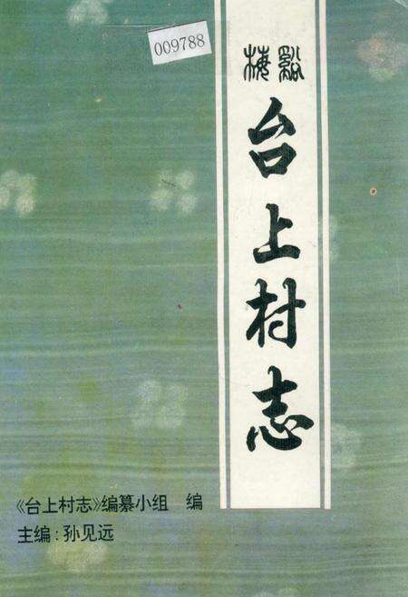 《台上村志》.pdf电子版_江西省志缩略图