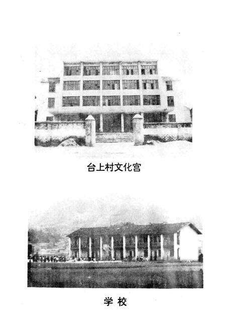 《台上村志》.pdf电子版_江西省志预览图4