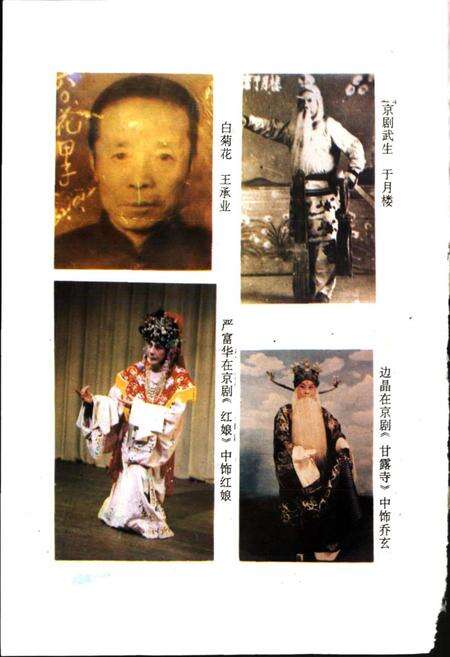 《辽宁市戏曲志》.pdf电子版_辽宁省志预览图4