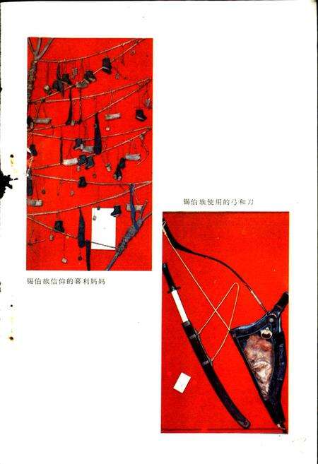 《沈阳锡伯族志》.pdf电子版_辽宁省志预览图4