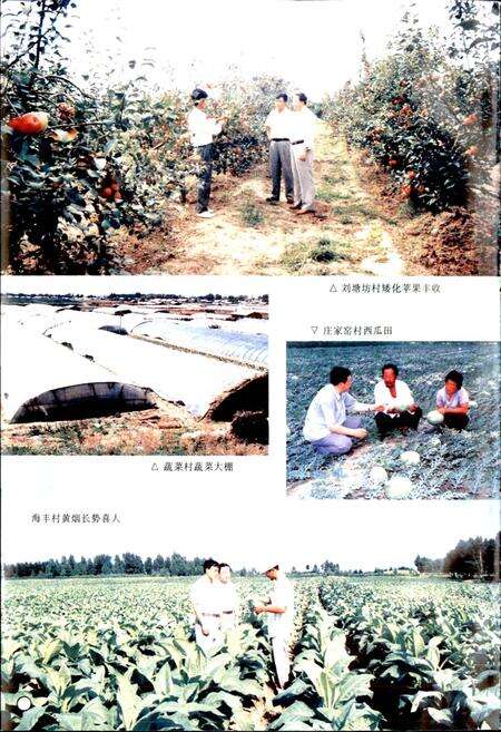 《昌图县三江口镇志》.pdf电子版_辽宁省志预览图4