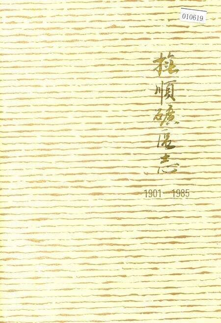 《抚顺矿区志 （中卷）》.pdf电子版_辽宁省志缩略图