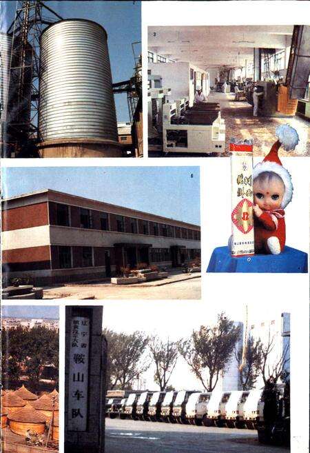 《鞍山市粮食志》.pdf电子版_辽宁省志预览图4