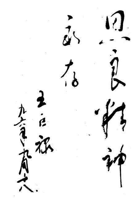 《台安县恩良医院志》.pdf电子版_辽宁省志预览图4