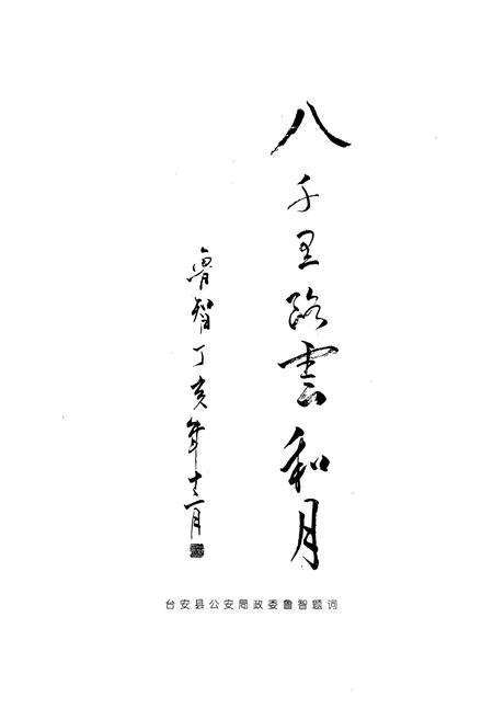 《台安公安志》.pdf电子版_辽宁省志预览图4