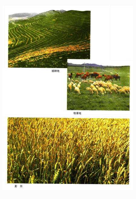 《阜新市土地志》.pdf电子版_辽宁省志预览图5