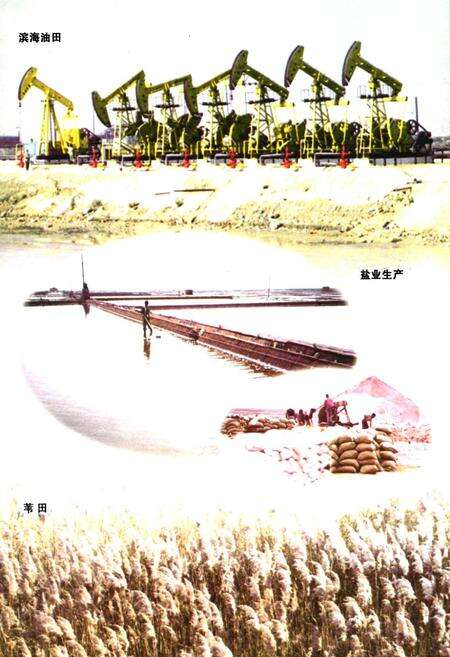 《《凌海市海洋与渔业志》》.pdf电子版_辽宁省志预览图4