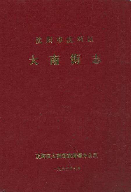 《《沈阳市沈河区大南街志》》.pdf电子版_辽宁省志缩略图